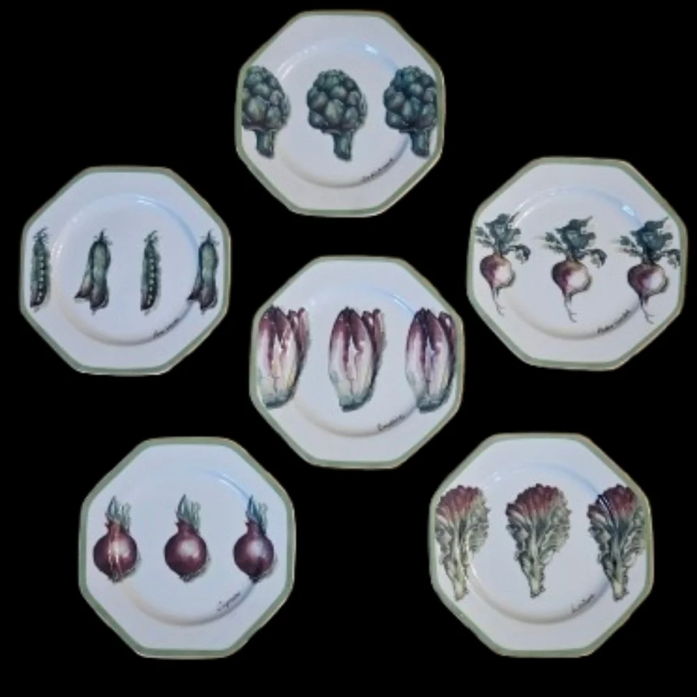*NWOT William Sonoma Vegetable Garden Salad Plates Set Of 6